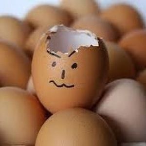 Meet your Posher, Riley